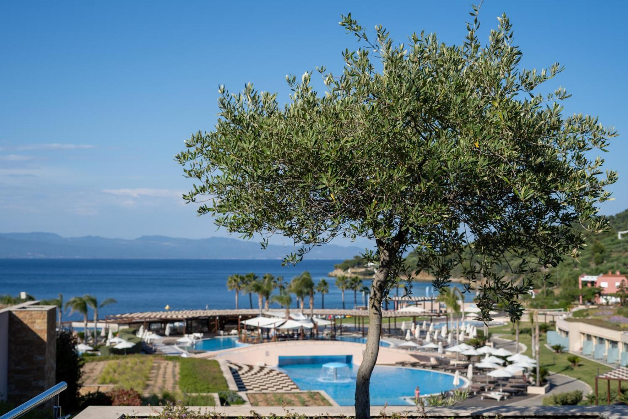 Miraggio Thermal Spa Resort Paliouri Eksteriør billede View of the bay of Nikiti